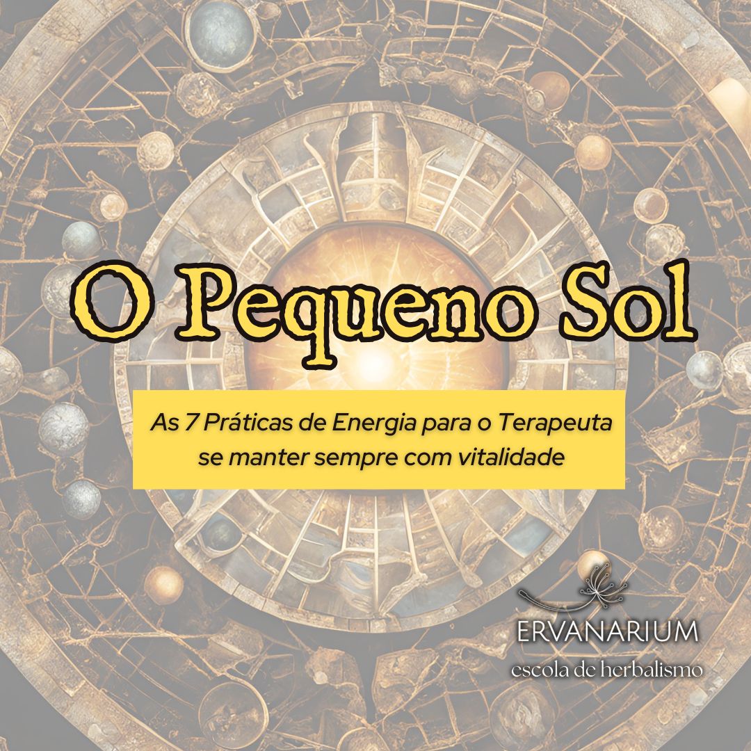 Workshop O Pequeno Sol